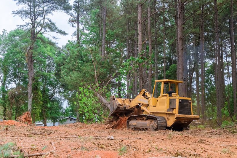 Land Clearing Machinery
