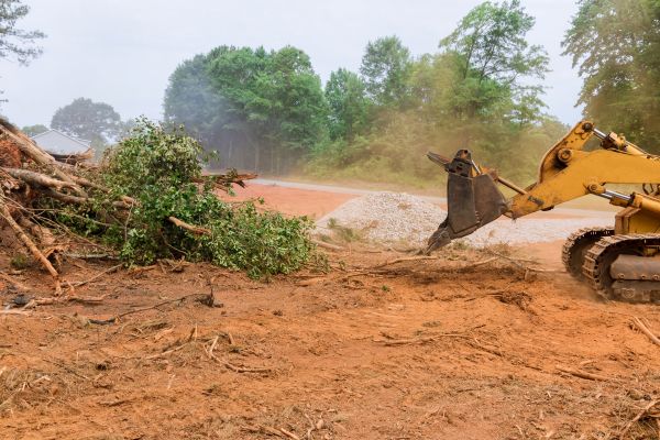 Cost of Ground Clearing in Cartersville