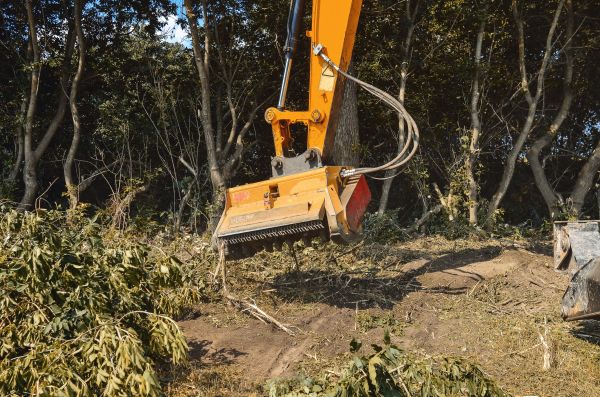 Cost of Brush Removal Service in Cartersville
