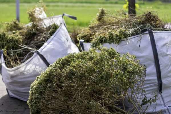 Cost of Bushes Clearing in Cartersville